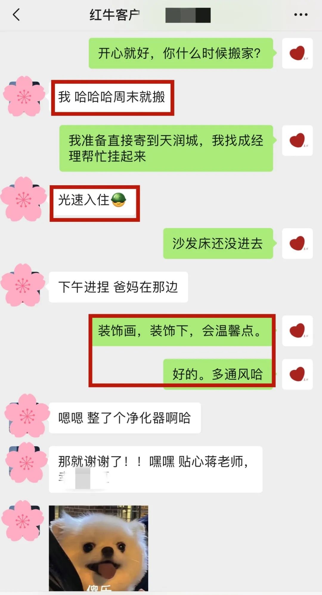 喜報｜金秋十月，收獲滿滿，紅牛裝飾再獲三面錦旗！05